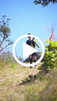 BIB:  <button type="button" onclick="openModal(26596734)" class="btn btn-primary btn-sm float-right" data-toggle="modal" data-target=".modal-high-quality">
                <i class="fa fa-download"></i> Download
                </button>